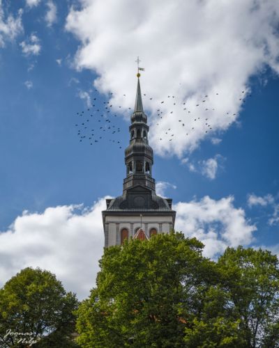 Kinnisvara 41 — JN Visuals · Kinnisvara fotograafia ja droonivideo